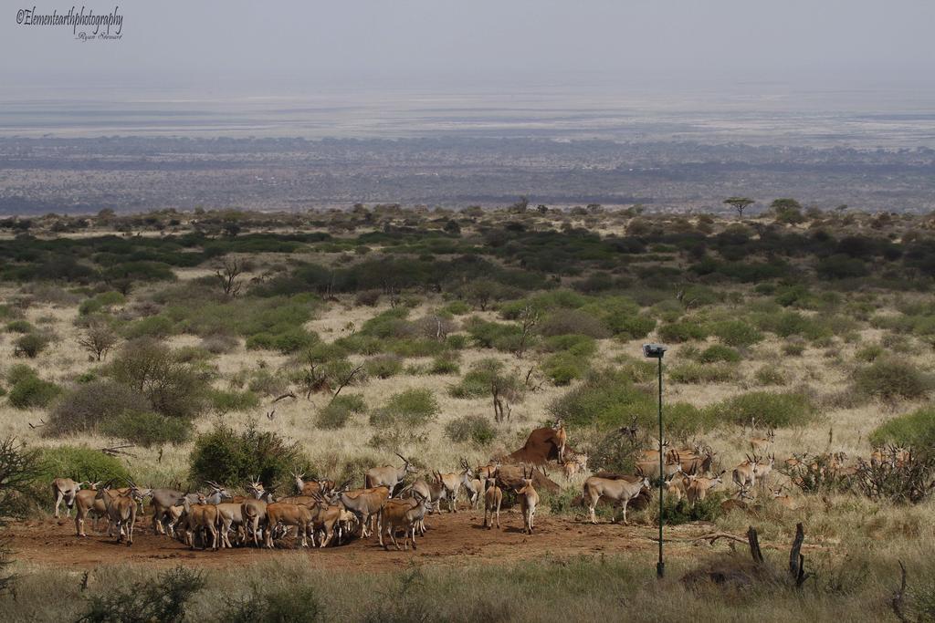 Elerai Camp Hotel Amboseli Kültér fotó
