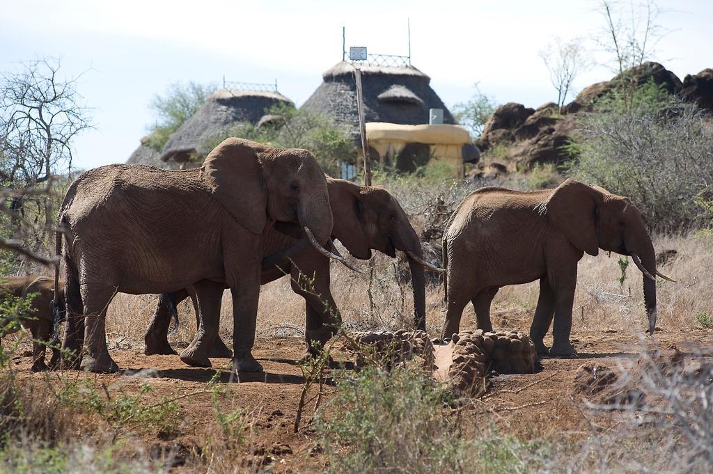Elerai Camp Hotel Amboseli Szoba fotó