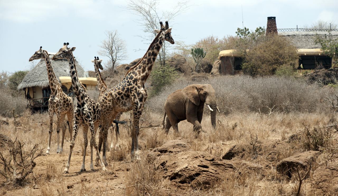Elerai Camp Hotel Amboseli Kültér fotó