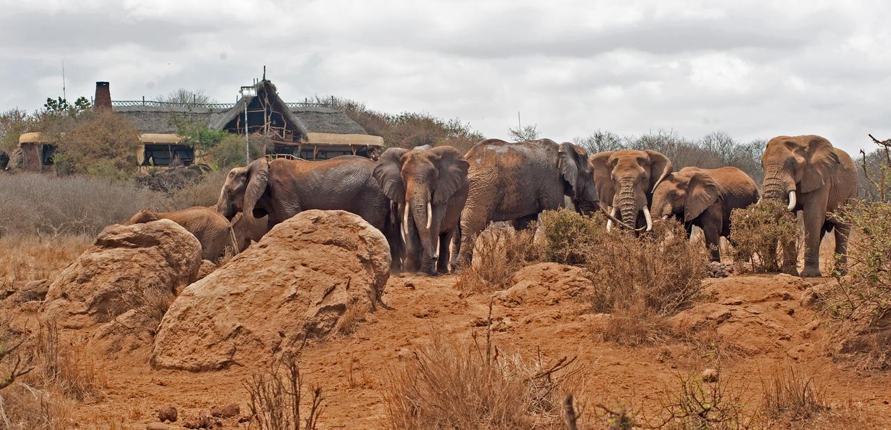 Elerai Camp Hotel Amboseli Kültér fotó